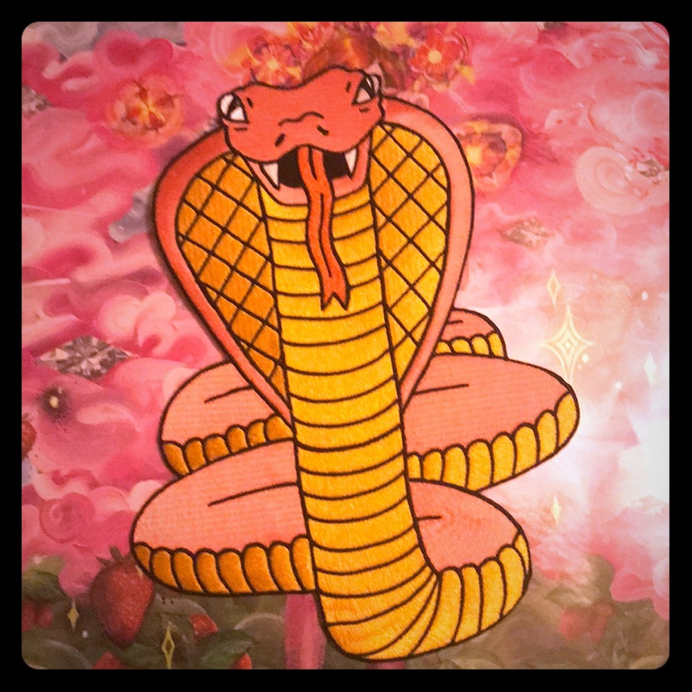 Pink Snake patch